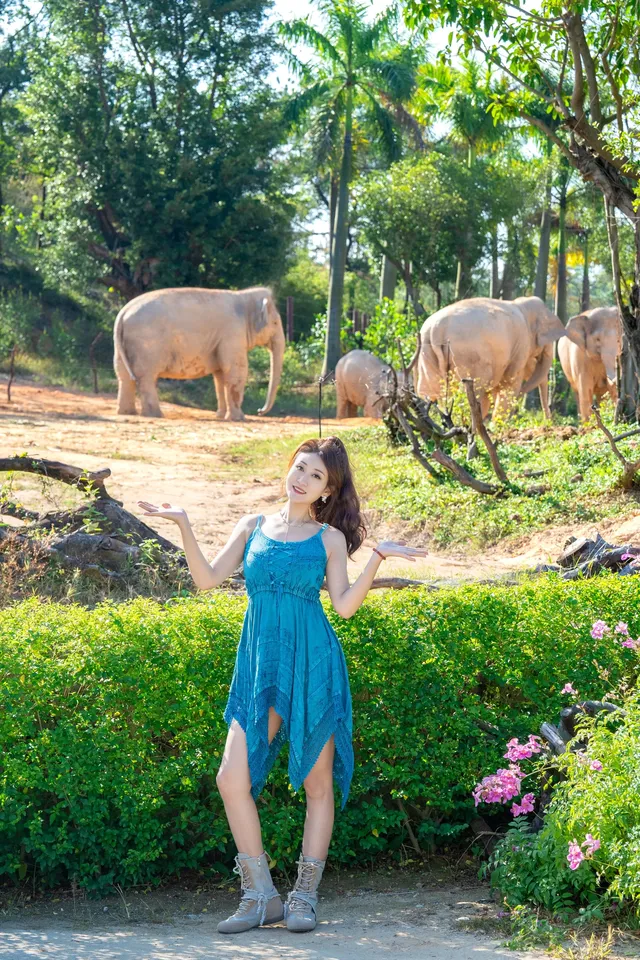 清遠長隆森林王國跟拍竟然用不了300