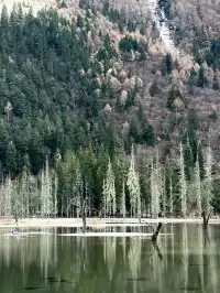 四姑娘山2日遊｜雙橋溝漂流+長坪溝騎馬