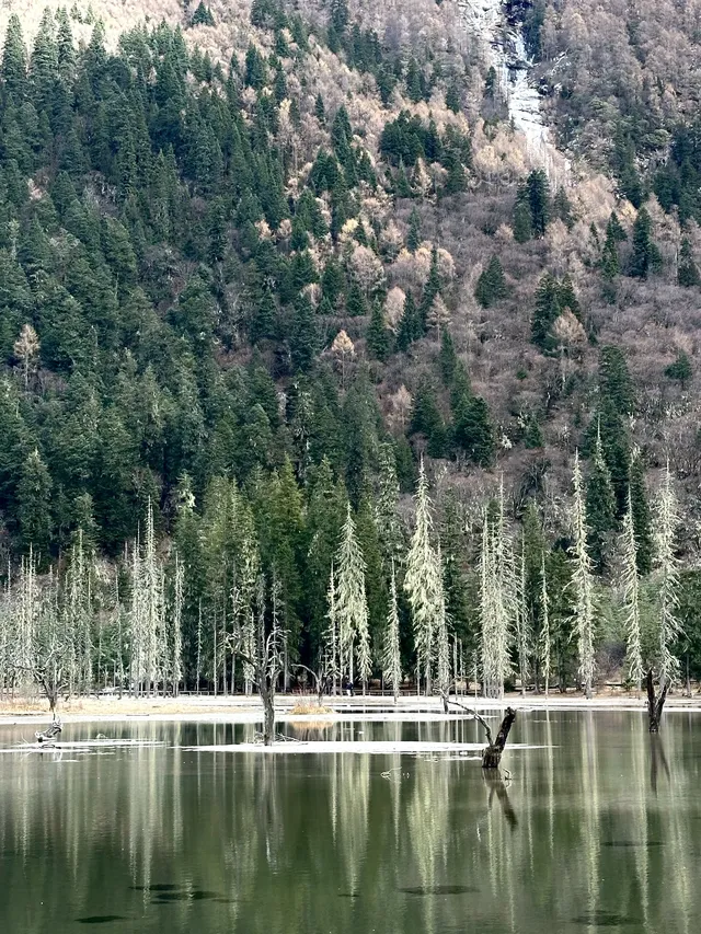 四姑娘山2日遊｜雙橋溝漂流+長坪溝騎馬