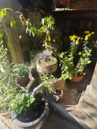 泡在婺源篁嶺景區的一天,治癒感直接拉滿!