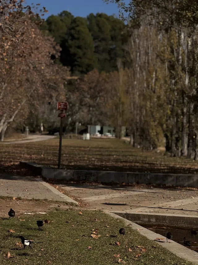 巴塞周邊小眾寶藏Lake of Banyoles 巴塞周邊小眾寶藏Lake of Banyoles