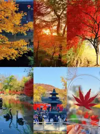 南京棲霞山親子遊|2歲娃解鎖紅葉仙境攻略