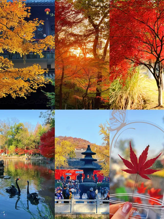 南京棲霞山親子遊|2歲娃解鎖紅葉仙境攻略 南京棲霞山親子遊|2歲娃解鎖紅葉仙境攻略