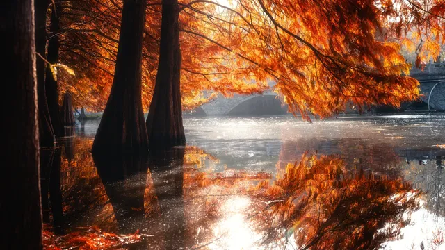 連夜來到南京只為拍到這幾張