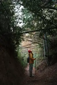 浙江徒步|古堡配紅楓跟風最成功的一次