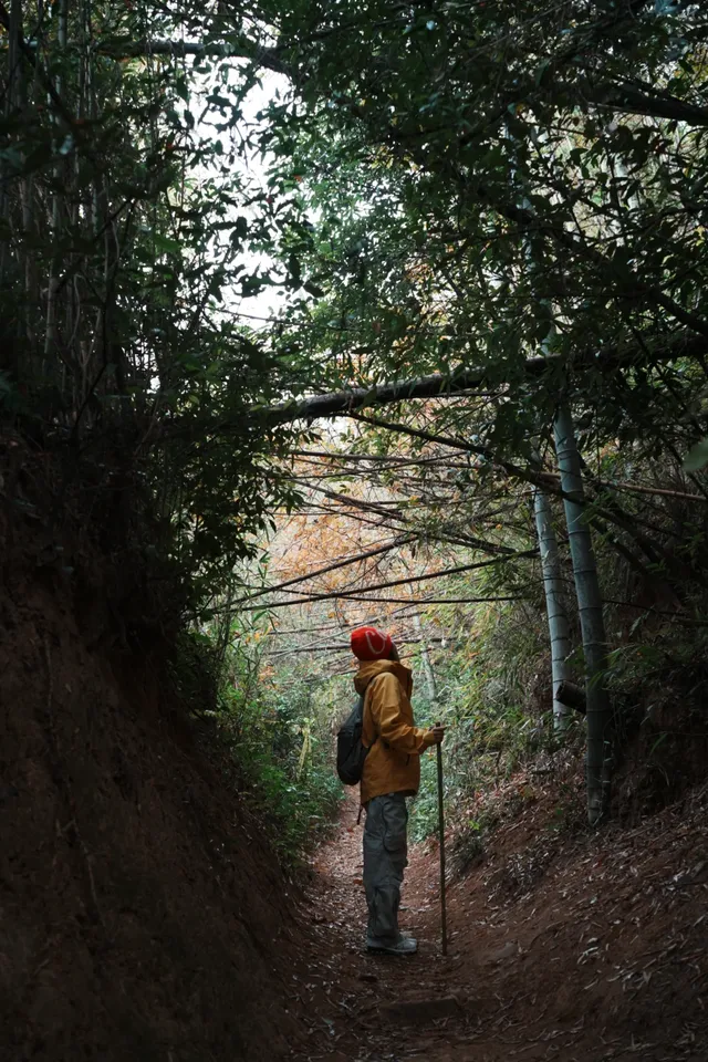 浙江徒步|古堡配紅楓跟風最成功的一次