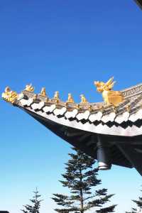 峨眉山“猴哥”相處指南