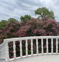 橘子洲·歷史與當代