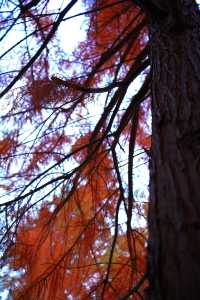 上海|又給大家找到一個拍照好去處絕對出片