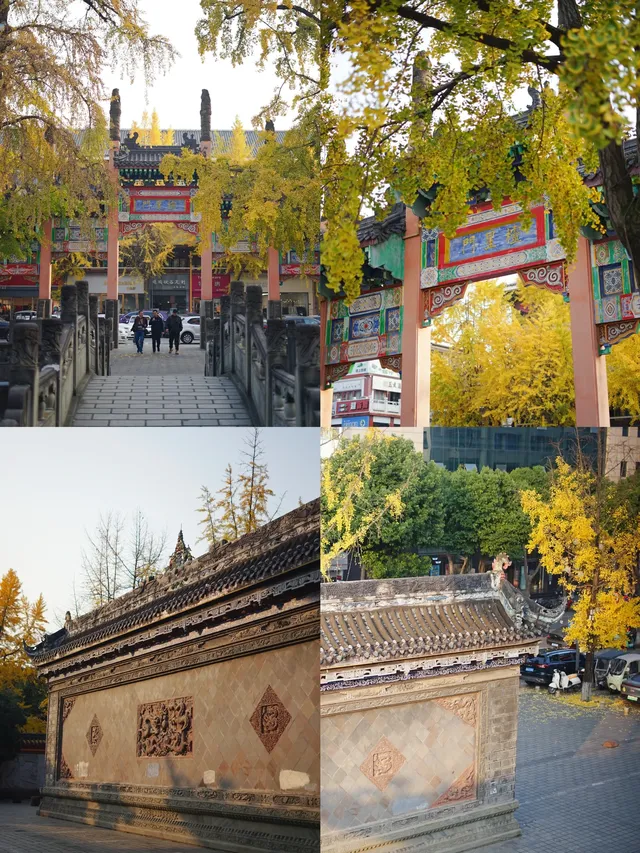 溫江藏著一個「紫禁城」，和銀杏同框太美啦