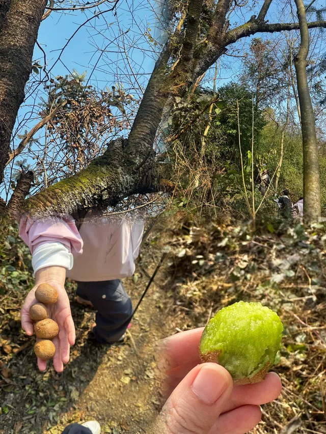 成都霧霾天的救命徒步!蒲虹路6公里,拿捏! 成都霧霾天的救命徒步!蒲虹路6公里,拿捏!