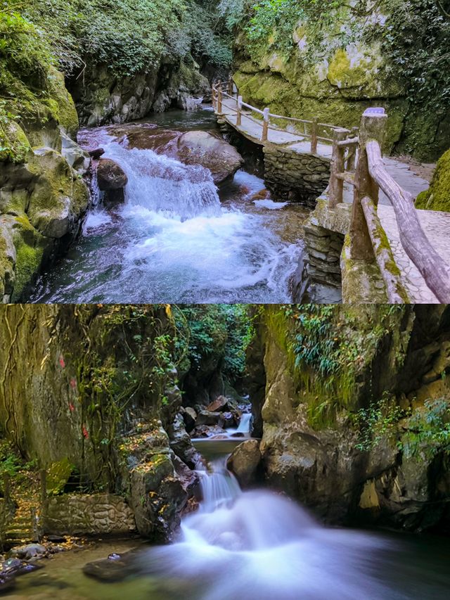 剛從哀牢山回來!看這篇就夠了 剛從哀牢山回來!看這篇就夠了