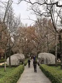 南京鐘山風景區漫遊