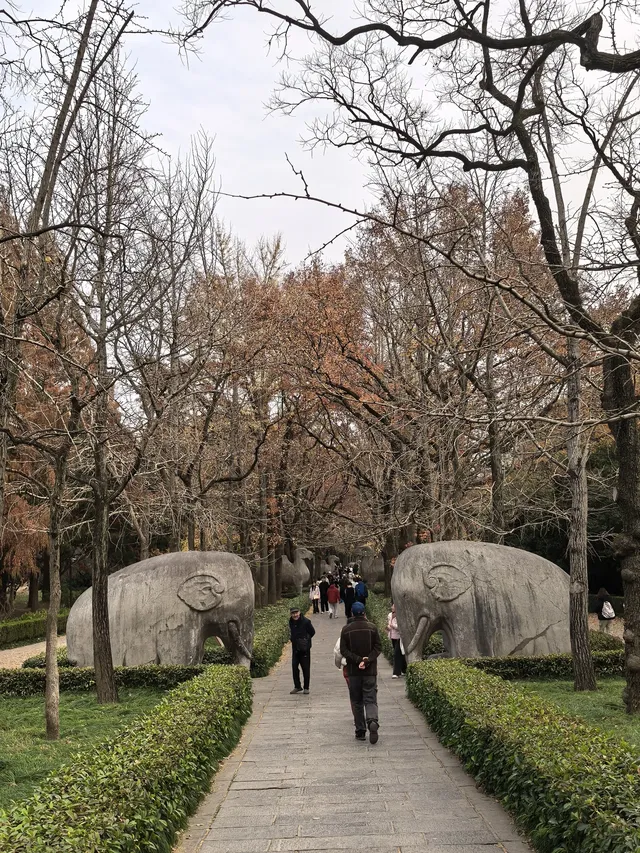 南京鐘山風景區漫遊 南京鐘山風景區漫遊