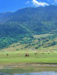 美得不像話雲南麗江也有自己的阿勒泰