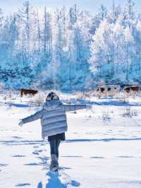 沒踩雷🫡第一次去阿爾山 直接照抄這份攻略