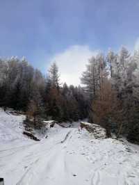 2025初雪赴一場蘆芽山冰雪奇緣!古堡溫泉全攻略