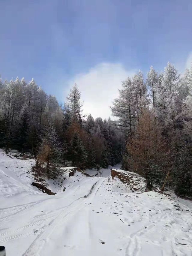 2025初雪赴一場蘆芽山冰雪奇緣!古堡溫泉全攻略 2025初雪赴一場蘆芽山冰雪奇緣!古堡溫泉全攻略