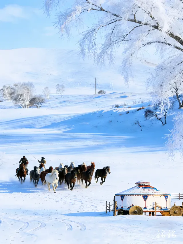 人少雪厚還免門票！烏蘭布統3天2晚全攻略