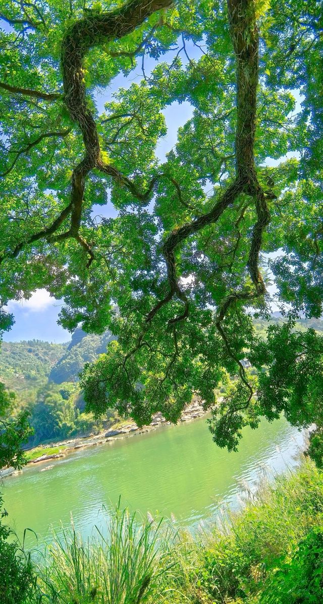 福州嵩口古鎮:景色醉人的桃源仙境 福州嵩口古鎮:景色醉人的桃源仙境