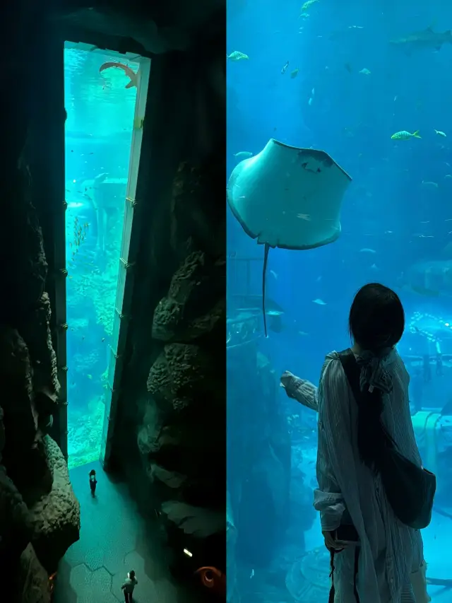 跟著劉亦菲打卡！闖入阿布扎比現實版亞特蘭蒂斯