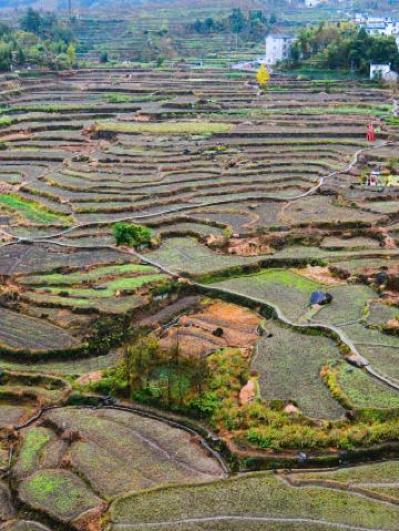 완난 촨장선 출발｜이 삼무 고촌 가는 거 잊지 마세요