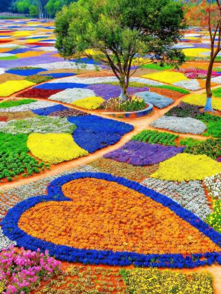 Jiangsu-Zhejiang-Shanghai Surroundings | 2 Days 1 Night, Encounter a Sea of Flowers and Immortal Romance in the Secret South of the Yangtze River