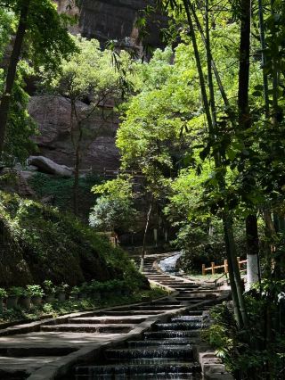 คู่มือการเดินป่าช่วงฤดูใบไม้ผลิในกานโจว: ปลดล็อกความสุขแห่งการพิชิตยอดเขา