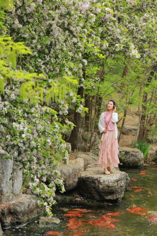 Олимпийский лес | Бегония и карпы кои