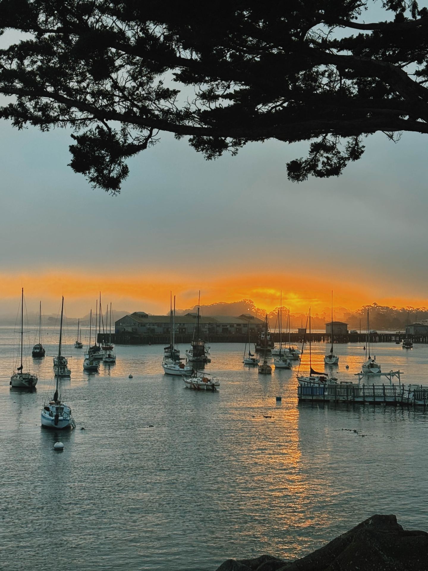 Monterey + Carmel | Cuộc sống ở đây thật tuyệt vời
