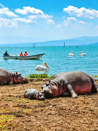 ケニア8日間 水陸サファリで最高の体験