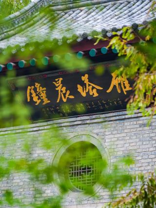 I have seen many dense-eave pagodas, but the Small Wild Goose Pagoda is still the most beautiful.
◎
During the Jinglong era of Emperor Zhongzong of the Tang Dynasty (707–710), the Jianfu Temple Pagoda was built under the guidance of Master Dao'an, with funds raised by palace attendants, to house the Buddhist scriptures, images, and relics brought back from ancient India by the monk Yijing.
During the Ming and Qing dynasties, military degree holders followed the custom of "inscribing names on the Wild Goose Pagoda" by carving their names into the Jianfu Temple Pagoda. By the Jiajing era (1522–1566), the name "Small Wild Goose Pagoda" began to appear in local gazetteers and scholars' notes.
In the Qing Dynasty, Zhu Jiyi's "Stele of the Eight Views of Guanzhong" directly used the term "Morning Bell of the Wild Goose Pagoda" to refer to the bell of the Small Wild Goose Pagoda, cementing the name "Small Wild Goose Pagoda" in the public consciousness.
◎○
The Small Wild Goose Pagoda was originally about 46 meters tall with 15 stories. The top 2 stories were destroyed in the Great Jiajing Earthquake, leaving 13 stories today with a remaining height of about 43.4 meters.
Each story of the Small Wild Goose Pagoda has arched doors facing north and south. Because of this, the pagoda has cracked 3 times due to earthquakes. However, because its foundation is made of hemispherical rammed earth—like a roly-poly toy—it has been able to compress and seal itself back together after each crack due to minor tremors or gravity, which is quite miraculous.
Unlike the pavilion-style Big Wild Goose Pagoda, the Small Wild Goose Pagoda is a typical dense-eave brick pagoda. The pagoda body tapers inward with each story, creating a natural, gentle, shuttle-shaped silhouette that is slender, upright, and elegant, full of Tang Dynasty charm.
The Big Wild Goose Pagoda was renovated with a full brick casing, so what you see on the outside today is from the Ming Dynasty. Although the Small Wild Goose Pagoda has also undergone renovations, except for the brick casing on the bottom story, the parts above are original Tang Dynasty construction, preserving an authentic Tang style.
I love looking at pagodas, especially Tang Dynasty ones. Among Tang pagodas, I love the dense-eave style the most, and the Small Wild Goose Pagoda is the best of them all. In my heart, it is the most beautiful, bar none.
◎◎○
When I visited the Small Wild Goose Pagoda 10 years ago, you could still buy a ticket to climb it. I didn't go up, and now that I'm back, you can no longer climb it, which is a great pity.
I wonder how many friends traveling to Xi'an make a special trip to see the Small Wild Goose Pagoda. Because of the Grand Tang Ever Bright City, the Big Wild Goose Pagoda is crowded with tourists every day, while the area around the Small Wild Goose Pagoda used to be a bit shabby, so it was much less crowded.
The area nearby is currently buzzing with the construction of Taikoo Li, which is said to open next year. By then, the Small Wild Goose Pagoda should also become a must-visit spot in Xi'an.