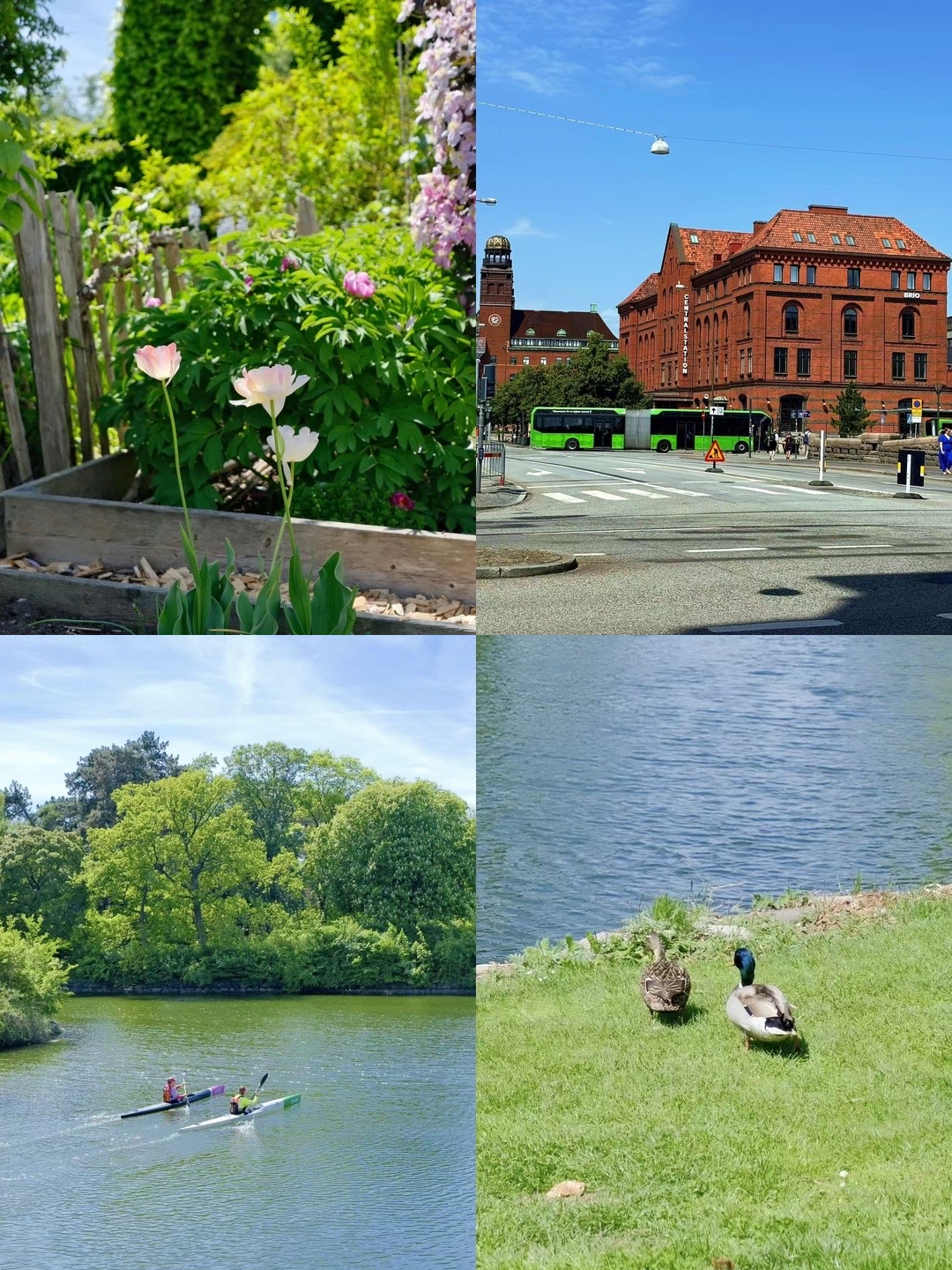 Bước vào chốn thiên đường yên bình vùng Bắc Âu | Một chuyến đi thư giãn đến Malmö