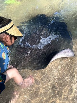 Just got back from a summer vacation with the kids in Lingshui. If I can convince even one person, that’s a win