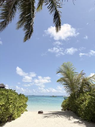 在馬爾地夫巴羅斯島的難忘住宿體驗