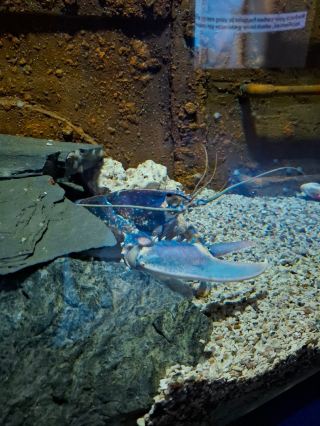 Excellent Museum with Diverse Exhibits