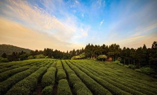 Zhejiang’s stunning hidden gem! The sunrise over Huading Mountain’s sea of clouds is legendary