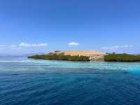 Amazing Experience with Elbark Cruise