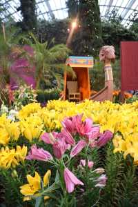 新加坡濱海灣花園｜避開人潮的完美悠遊攻略
