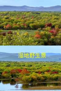 3 days in Hulunbuir in early autumn: A few tips