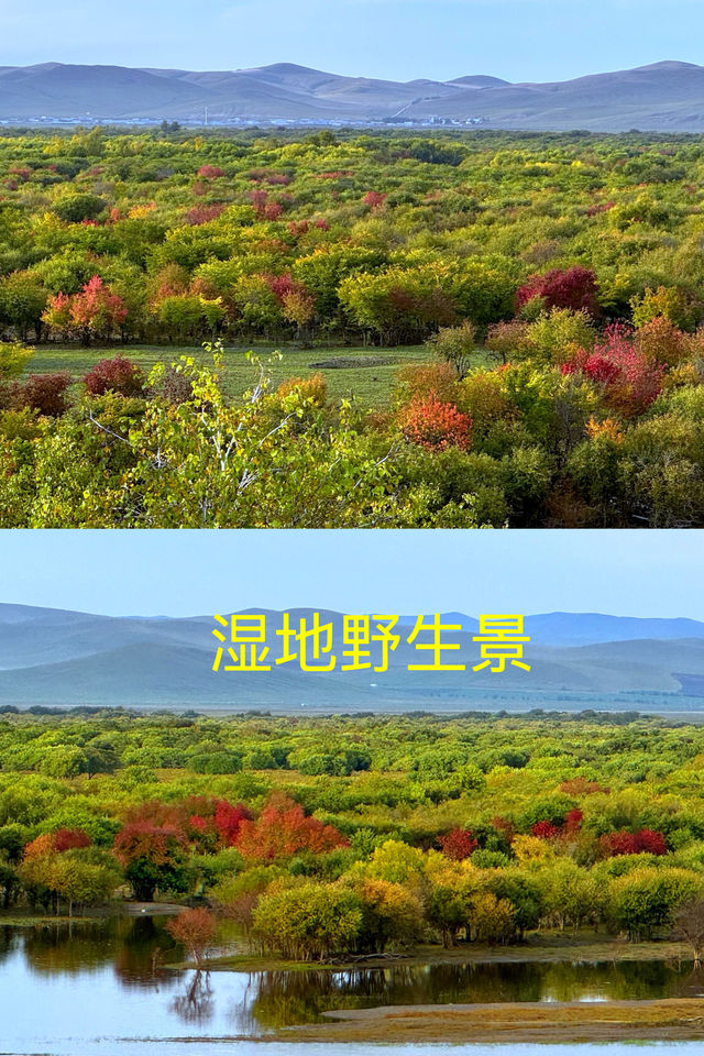 3 days in Hulunbuir in early autumn: A few tips
