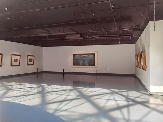 哈爾濱小眾美術館|人少免費沉浸式看展太治癒了