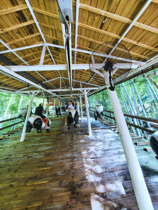 No hiking required! Anji Panda Tribe is perfect for families with