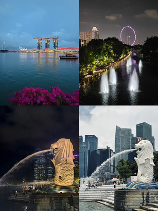 Wisata Keluarga 3 Hari di Singapura Saat Tahun Baru: Hari Terakhir Santai di Bandara.