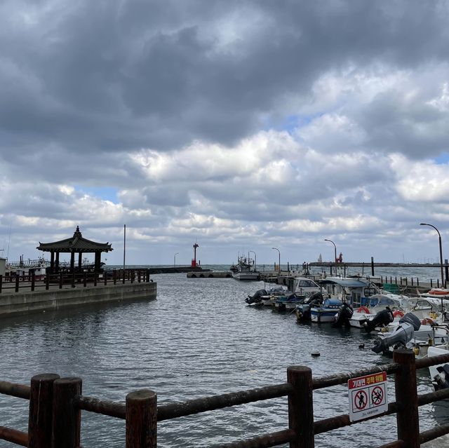 한적한 제주도 해변가, 이호테우 해변🐴