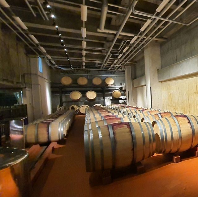 北海道自產紅酒區－池田町葡萄酒