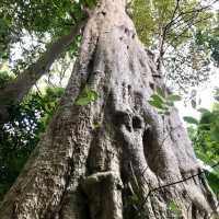 อุทยานแห่งชาติหมู่เกาะลันตา กระบี่