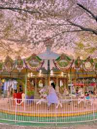 동화 속에 온 듯한 벚꽃뷰 놀이공원 🎡🌸