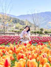 지금 당장 양산에 가야하는 EU 🌷🩷