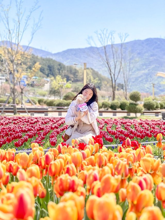 지금 당장 양산에 가야하는 EU 🌷🩷